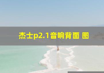 杰士p2.1音响背面 图